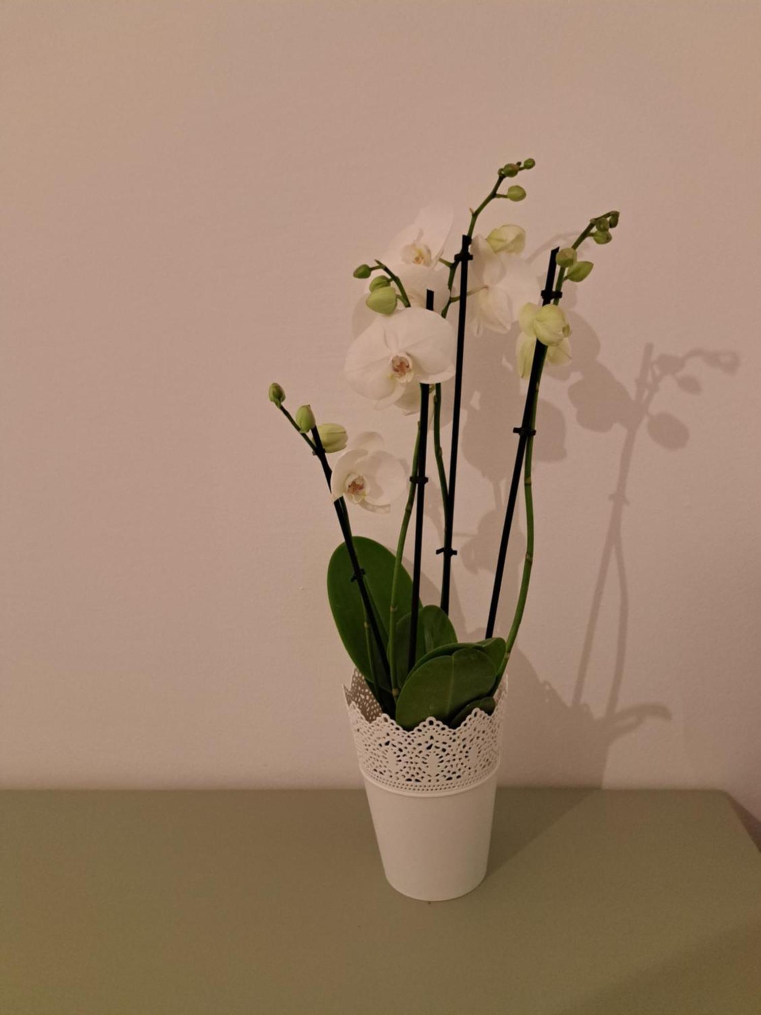 Casa Di Tre Apartman Szaloniki Kültér fotó